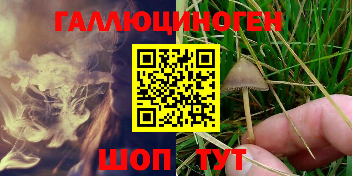 купить  сайты  Вход с VPN  Ревда  Галлюциногенные грибы Psilocybine cubensis 