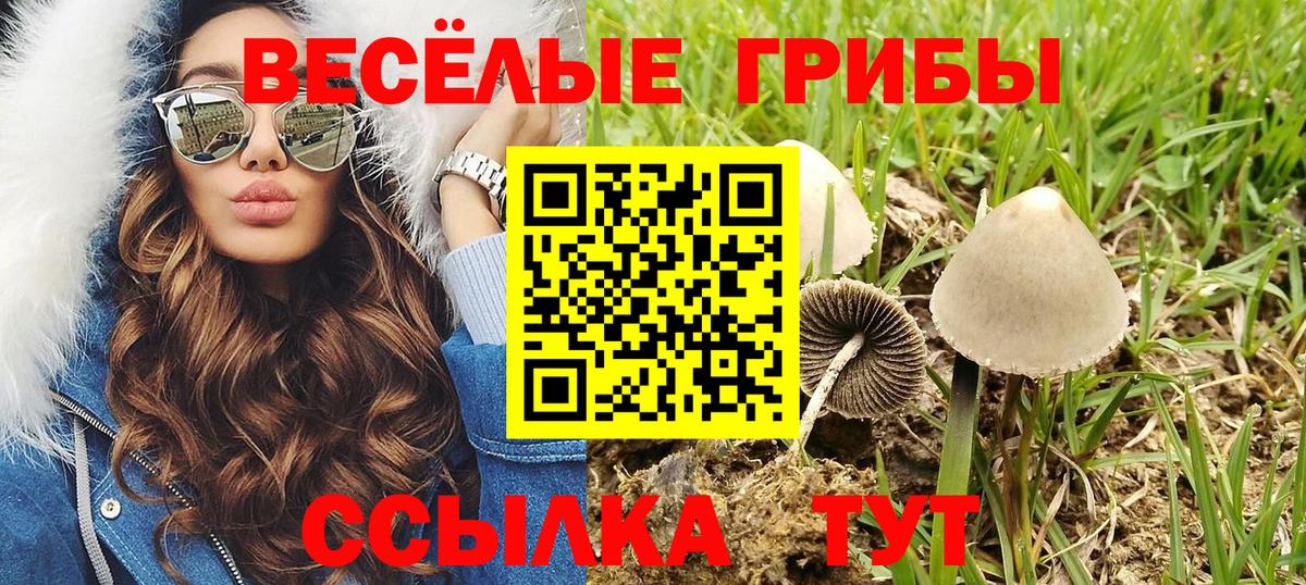 Псилоцибиновые грибы ЛСД Ревда